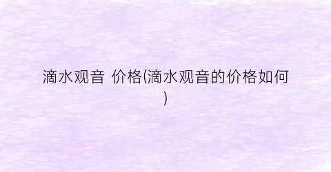 滴水观音 价格(滴水观音的价格如何)